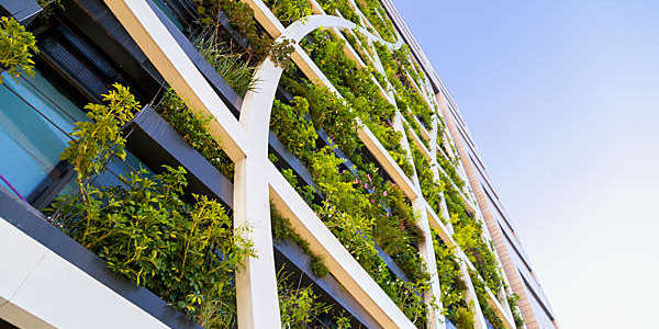 Low-angle shot of a vertical garden on a building's façade.