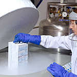 Scientist lifting human cells from liquid nitrogen storage.